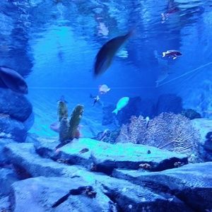 Meet your Posher, Xander